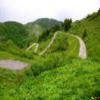 Motorroute monte-zoncolan--sp123- photo