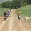 Motorritten d400--olympos-- photo