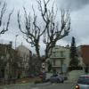 Motorroute c61--bv5301-arenys- photo