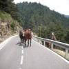 Motorroute n152--la-collada- photo