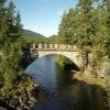 Motorritten r364--ormemyr-- photo