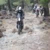 Motorritten katharo--males- photo