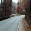 Motorritten n238--tomar-- photo