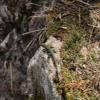 Motorroute d81--afa-- photo