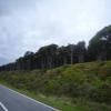 Motorroute 6--greymouth-- photo