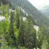 Motorritten malojapass--chiavenna-- photo