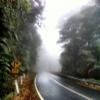 Motorroute grafton-rd--hernani-nymboida- photo