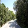 Motorritten n379--cotovia-- photo