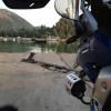 Motorroute konispol-bundrit-wooden-ferry-- photo