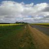 Motorroute ararat--rossbridge-- photo