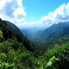 Motorritten bocaina-mountains--lidice- photo