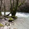 Motorritten gostivar--debar-struga- photo