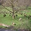 Motorroute gostivar--debar-struga- photo