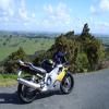 Motorritten kaipara-to-leigh- photo