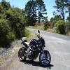 Motorroute pokeno-to-raglan-the- photo