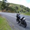 Motorroute pokeno-to-raglan-the- photo