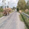 Motorroute babadag--murighiol-- photo