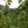 Motorroute heart-of-slovakia-- photo