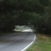 Motorroute charleston--edisto-island- photo