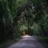 Motorroute charleston--edisto-island- photo