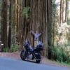 Motorritten newton-b-drury-scenic- photo