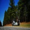 Motorritten sumter-national-forest-2- photo