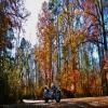 Motorritten sumter-national-forest-2- photo