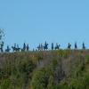 Motorritten tour-the-western-osage- photo