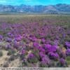 Motorroute breede-river-to-sutherland- photo