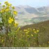 Motorroute swartberg-pass- photo