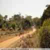 Motorritten backroad-from-bulawayo-to- photo