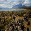 Motorritten torres-del-paine- photo