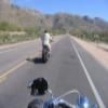 Motorritten mount-lemmon-highway-- photo