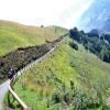 Motorroute d19--larrau- photo