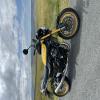 Motorcycle Traveller Avatar Image